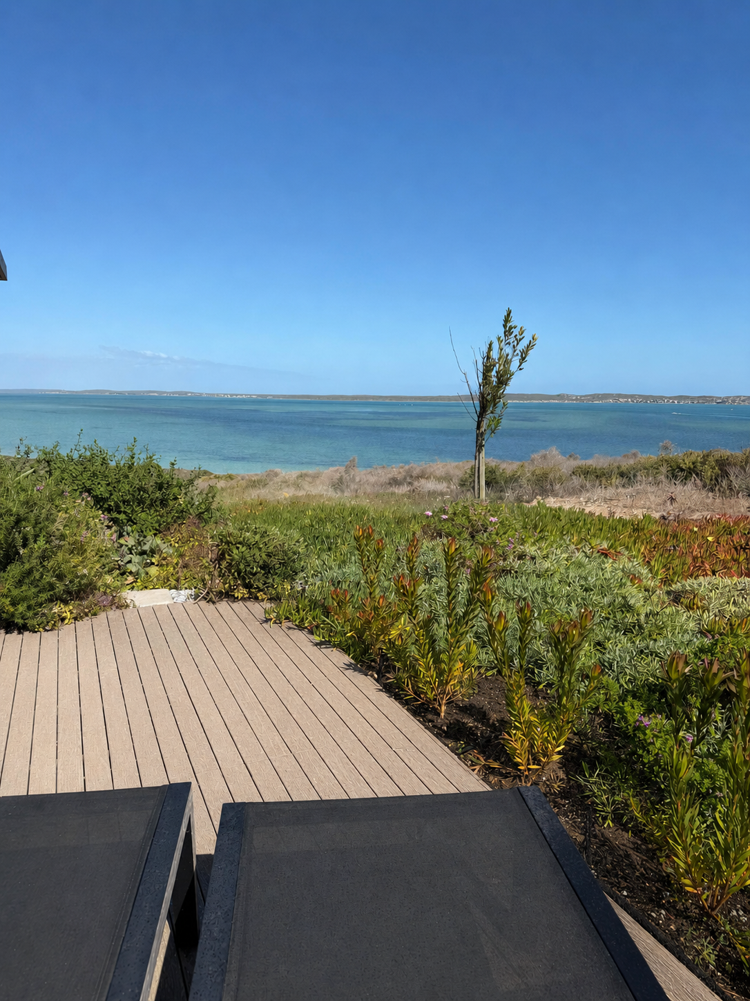 Coastal garden planting with sea view after irrigation and landscaping work