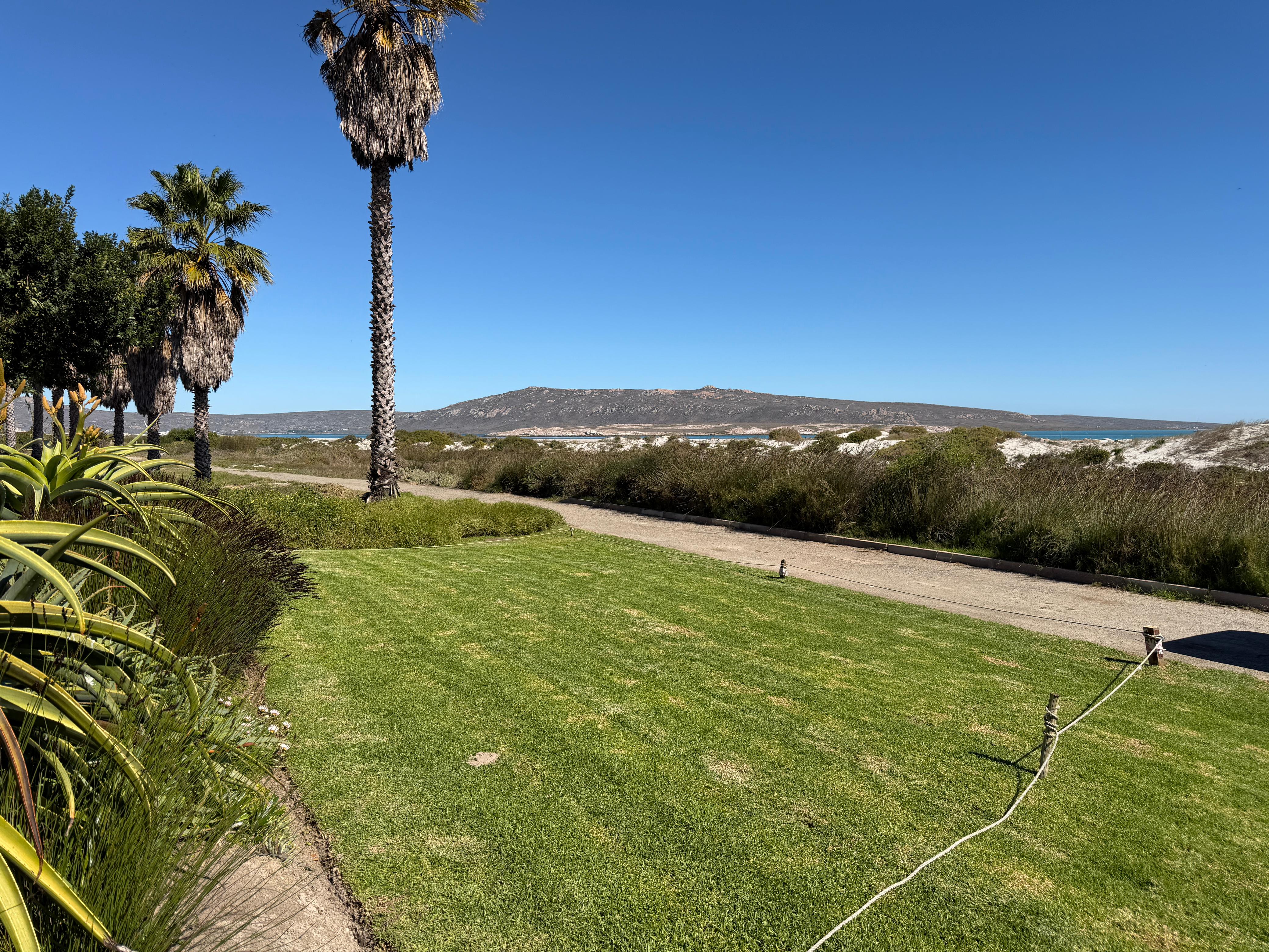 Lawn irrigation work with West Coast dunes and lagoon view